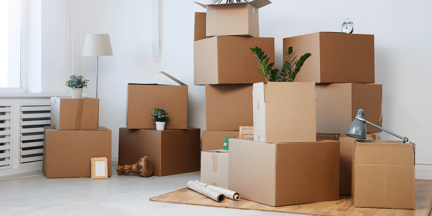 Dorset Storage Tips - Storing For The Long Run | Hogleaze News